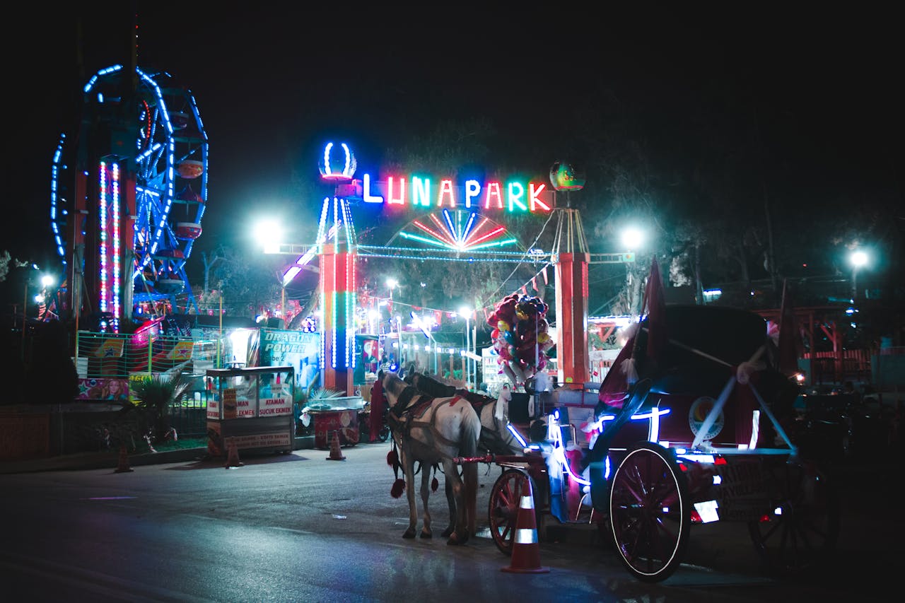 Services-03 Brightly lit Luna Park entrance with a horse cart and vibrant carnival atmosphere at night.